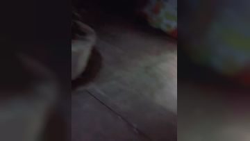 周导的夏天，户外激情听狼友指挥选个小扒菜开草，衣服都没脱撸起大鸡巴，直接后入爆草玩弄骚嫩的奶子好刺激