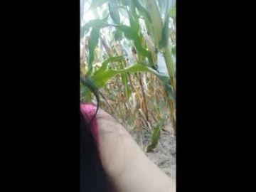 颜值气质很不错的白领美女下班背着男友和公司业务经理酒店偷情,性感苗条,抱着双腿激烈勐插.国语!