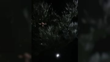 颜值人妖深夜户外露出路边椅子上口交深喉，户外刺激很快缴枪第04集