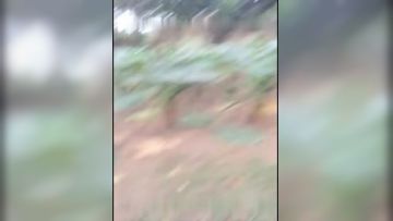 真大胆-东莞漂亮性感的气质大美女和男友在马路上玩露出,走到路边趁没人脱光第03集