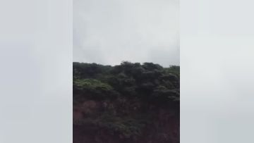 颜值不错少妇户外车震双人啪啪口后座骑乘抽插自摸逼逼很是诱惑喜欢不要错过第02集