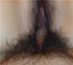 酒店和骚女做爱5 mp4