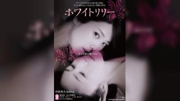 白百合禁断之百合