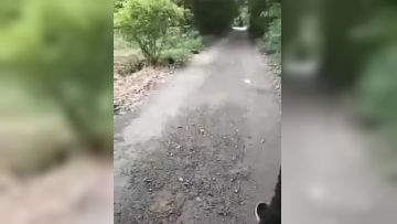 [在线]手机直播非常屌的90后白虎村姑和鲜肉级男主播户外野战太多蚊子了只好去人家的毛坯房里脱光了继续干 1V