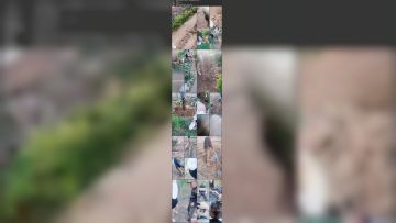 职业约屌人_户外勾搭野战啪啪_20220503