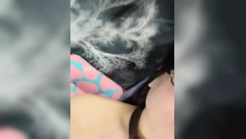 起司-：白虎-18岁小萝莉-高潮好爽，我想要你帮我舔，啊啊~哥哥，跳蛋抽插小粉穴，近距离观赏！第01集