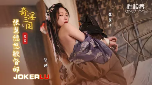性视界传媒x起点传媒・XSJ144・茜茜・奇淫三国之张翼德怒鞭督邮