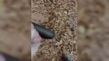 ✿最强❤️母子乱伦✿南方母子✨终于找到机会和妈妈上山干活打野战开始非常抗拒怕别人看到扶着小树后入爆操真滋味第01集