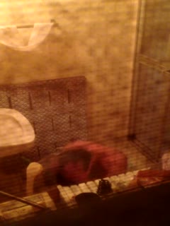 半夜失眠去城中村偷窥下夜班的女工洗澡, 擦逼逼不小心动了一下被她发现了