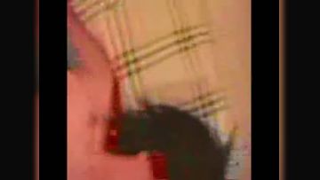 【嫖娼】北京小哥，嫖一个胸前纹了朵花来京不久的水嫩妹子，深喉，毒龙，颜射