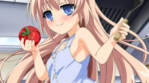 dm[メリーシェーン]はしめてのおるすはん 観月しおり编