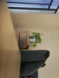 六年著名圈主，今天在校学生大二校花，【91论坛著名圈主张总】，极品美穴，黑丝调教，让小姐姐到达快乐的巅峰