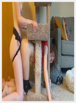 女同性恋女朋友陷入猫树