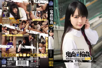 SHKD-532c-女子校生监禁凌辱 佳苗るか