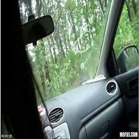 Sexyyoungdoctorgottrickedtofuckinthecar