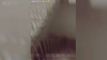 有本事你就叫老子杀了你,下夜班的小姐停车场被色狼尾随到楼梯里强干