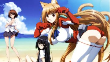 Getsuyoubi no Tawawa [14][Ma10p_1080p][x265_flac]