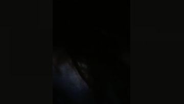 核弹！新下海女神_【大白】极品美乳天然白虎狂撸！。