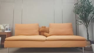 高颜黑丝小姐姐 身材高挑细长腿小贫乳小粉穴 老公操我操我小骚逼