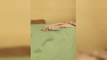 #舔爽乌克兰 04-10主播收费秀 1