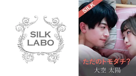 SILKS-104 表面闺蜜？深夜越界实录：办公室OL的禁忌之恋