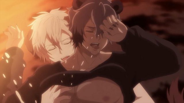 森林里的熊先生，冬眠中。